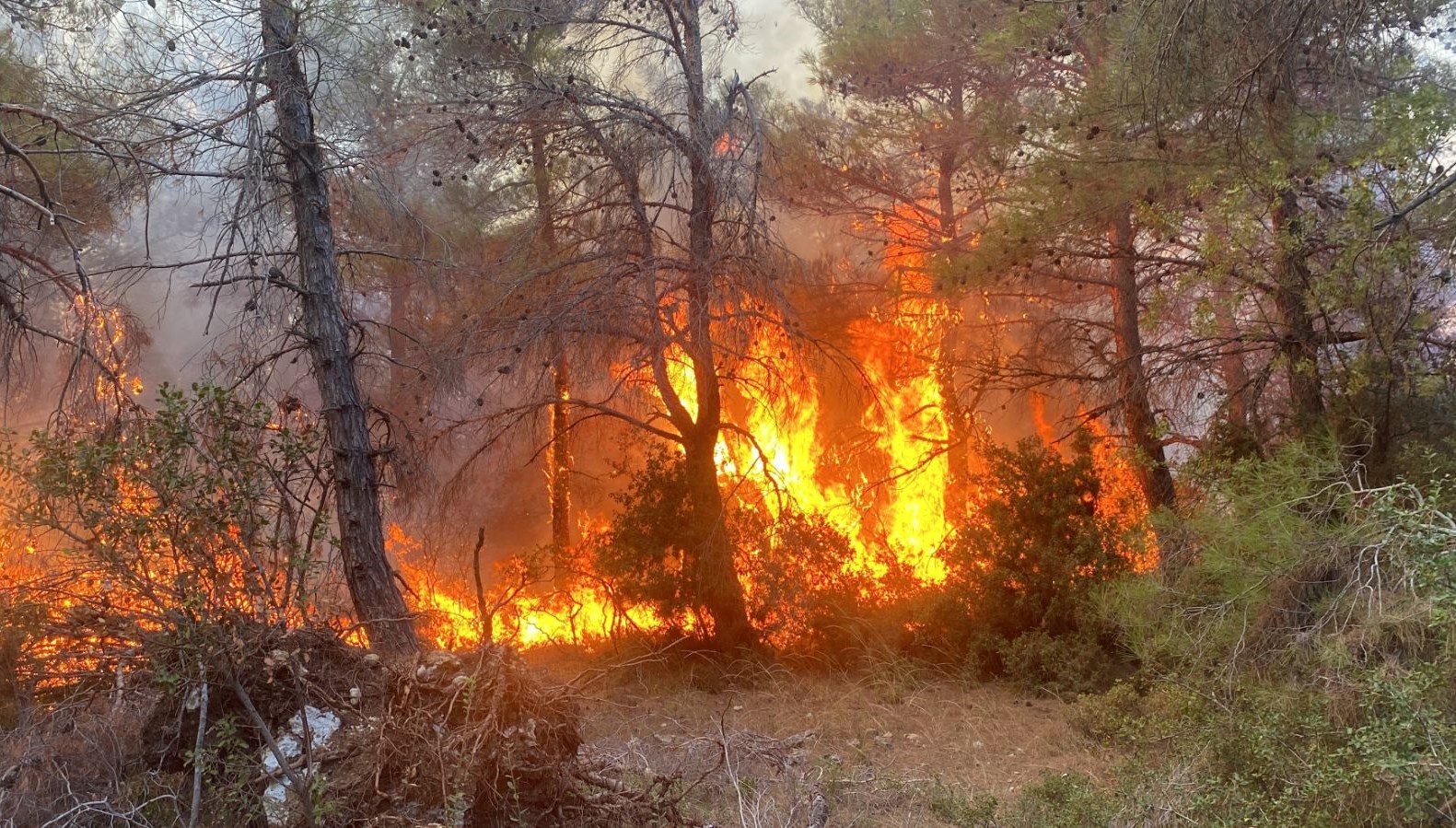Antalya’da ormanlara giriş yasağı başlıyor