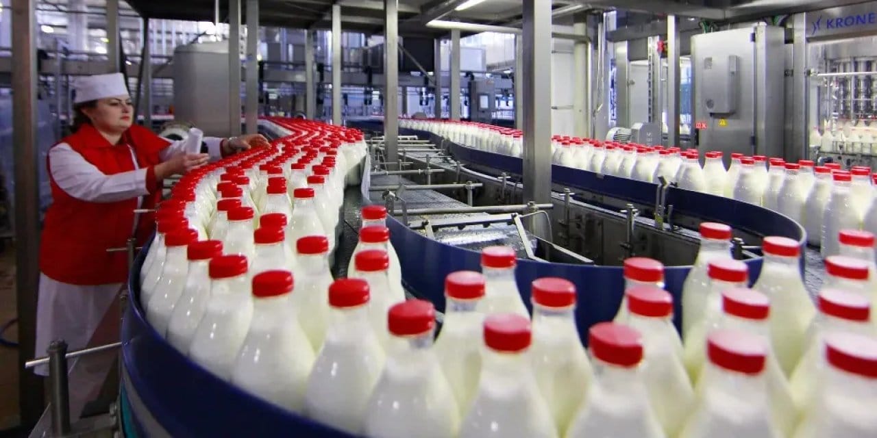 30 ulkeye ihracat yapan sut firmasi iflas etti NI1hTtrB