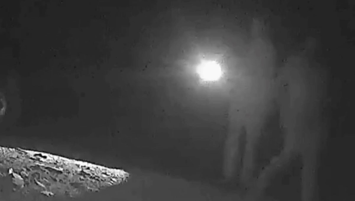 bozayi vuran kacak avcilar 170 bin lira ceza yedi KtDPbgaV