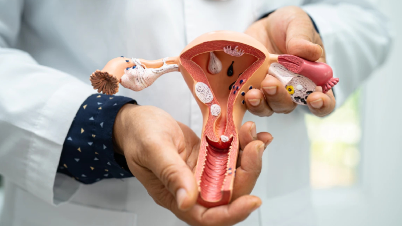 her 10 kadindan 1i risk altinda polikistik over sendromu belirtilerine dikkat suhKN8nR