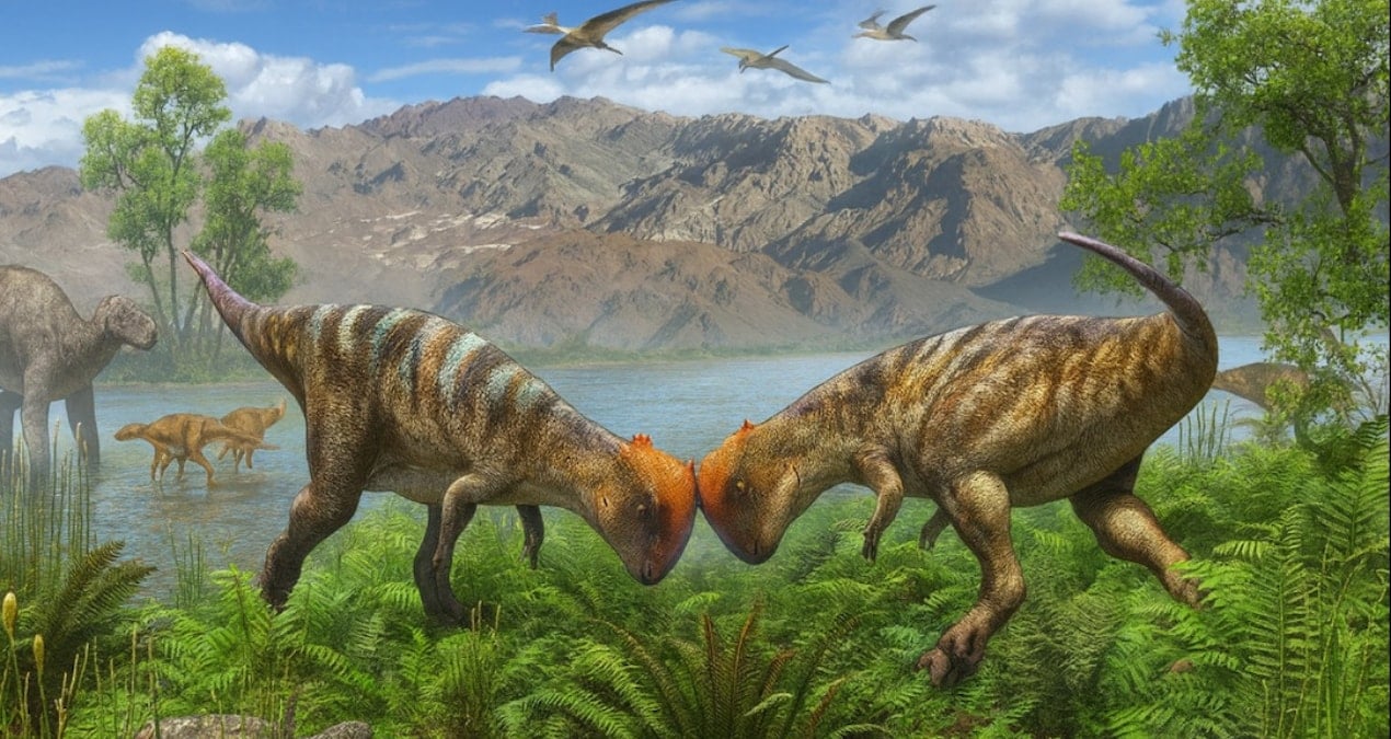 kaya parcasindan 115 milyon yillik tarih cikti bilim dunyasi saskin 7N25FiMu