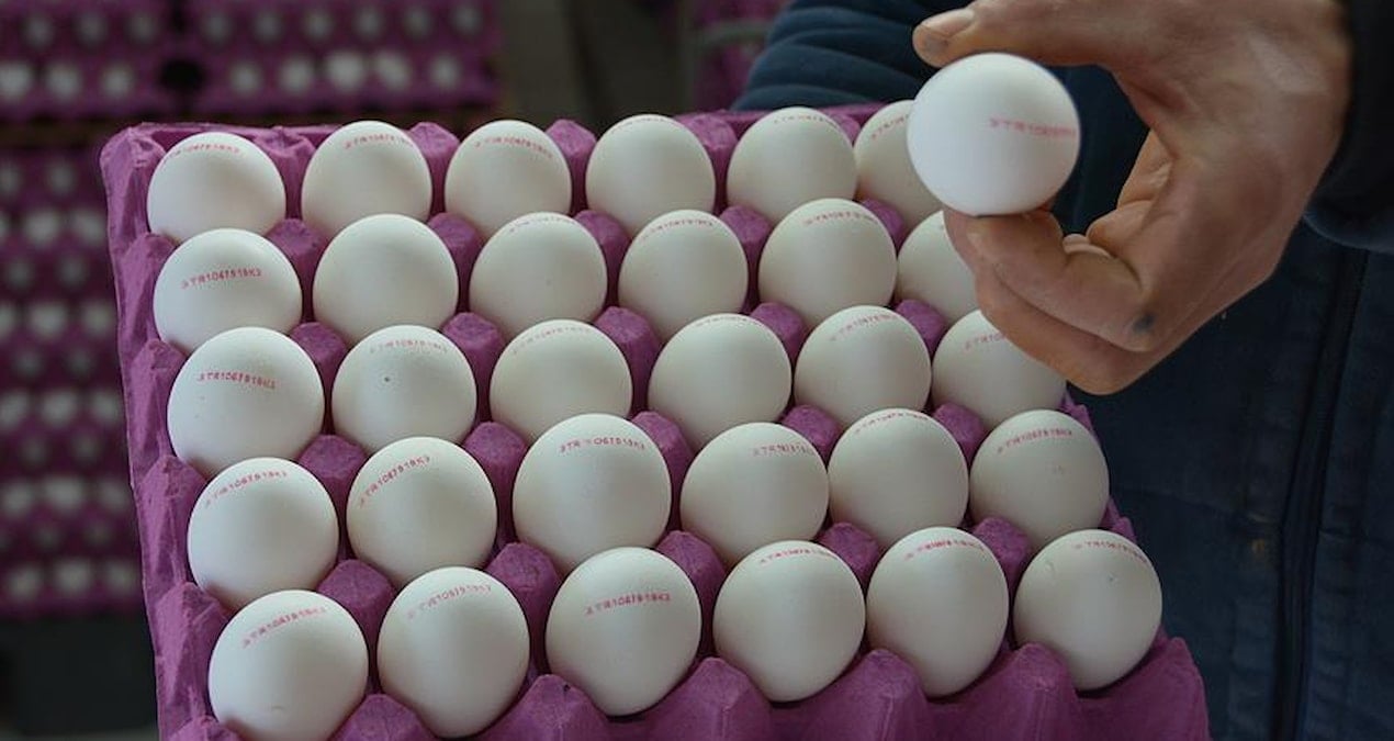 stoklayin uyarisi yapilmisti yumurta fiyatlarina zam geldi aMClUjW1