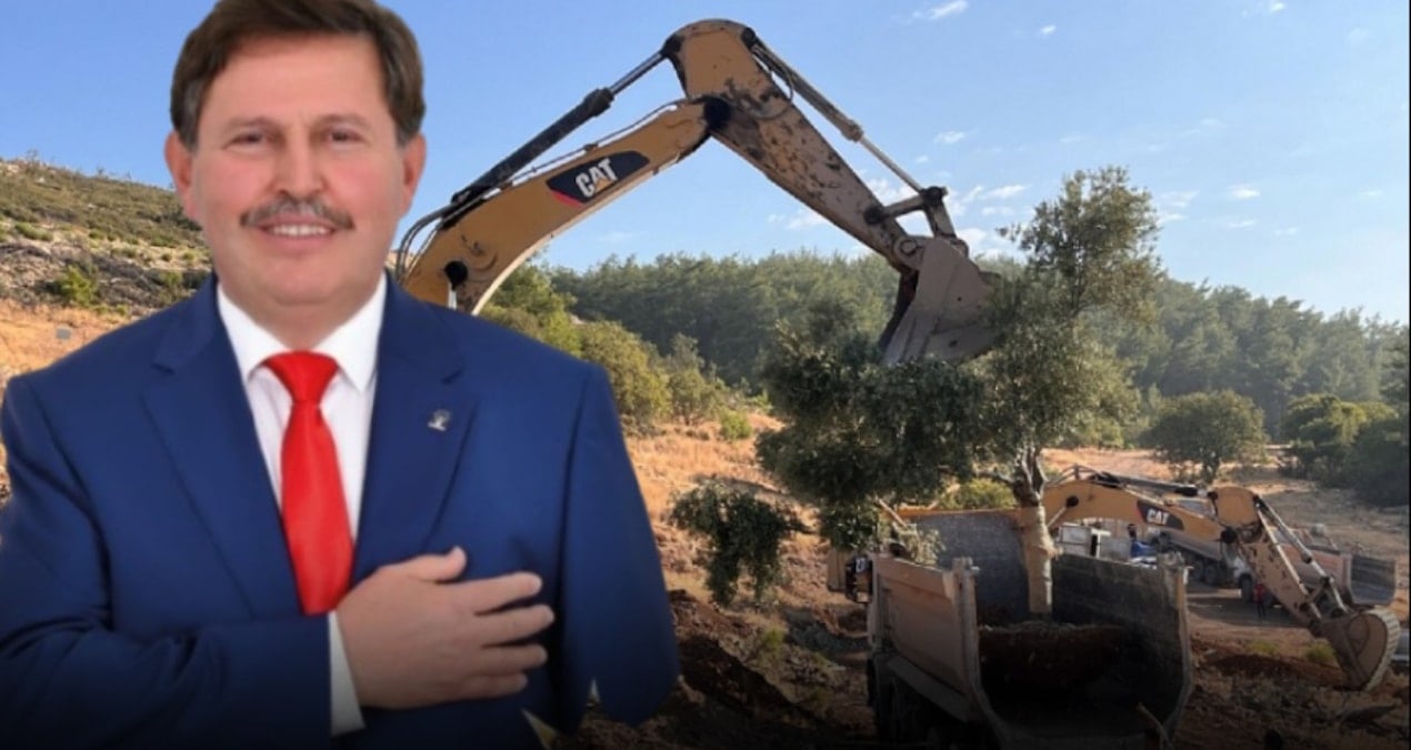 zeytinleri soken isim akpli cikti guHNSdjd