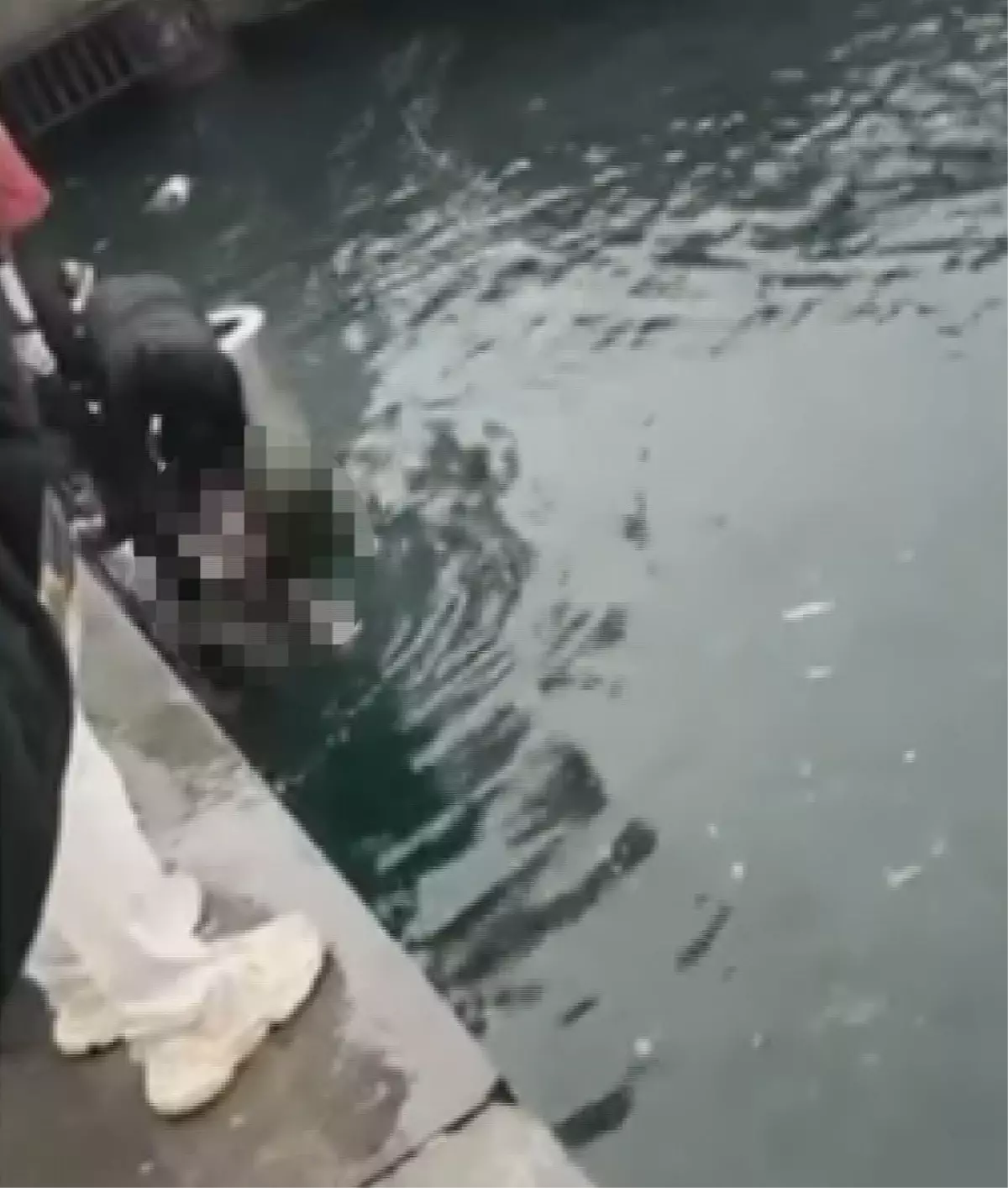 istanbulda can pazari 4 engelli vatandas denize dustu biri hayatini kaybetti lMyqqsPv.jpg