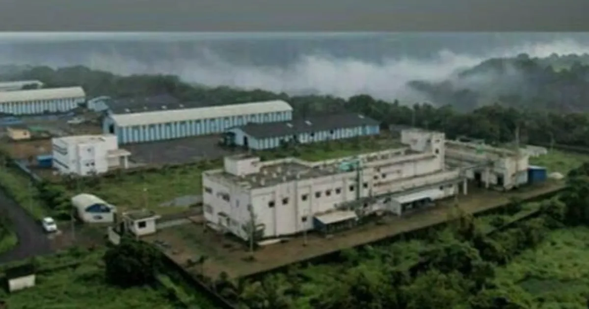 liposomal nanoteknolojiyle d vitamini takviyelerinde yeni bir donem basliyor n9gQBVep