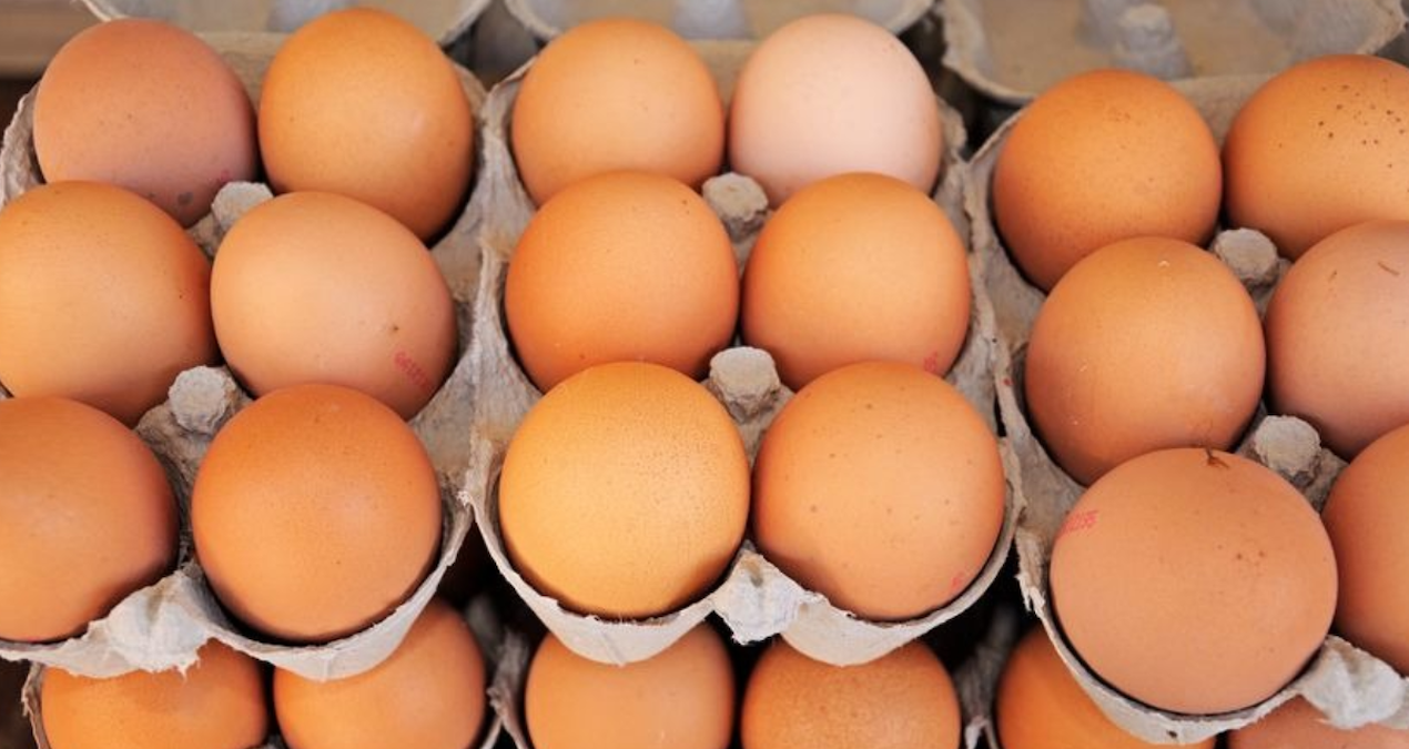 yumurta krizi kapida uretimde sert dusus JyuHmpO5.jpg