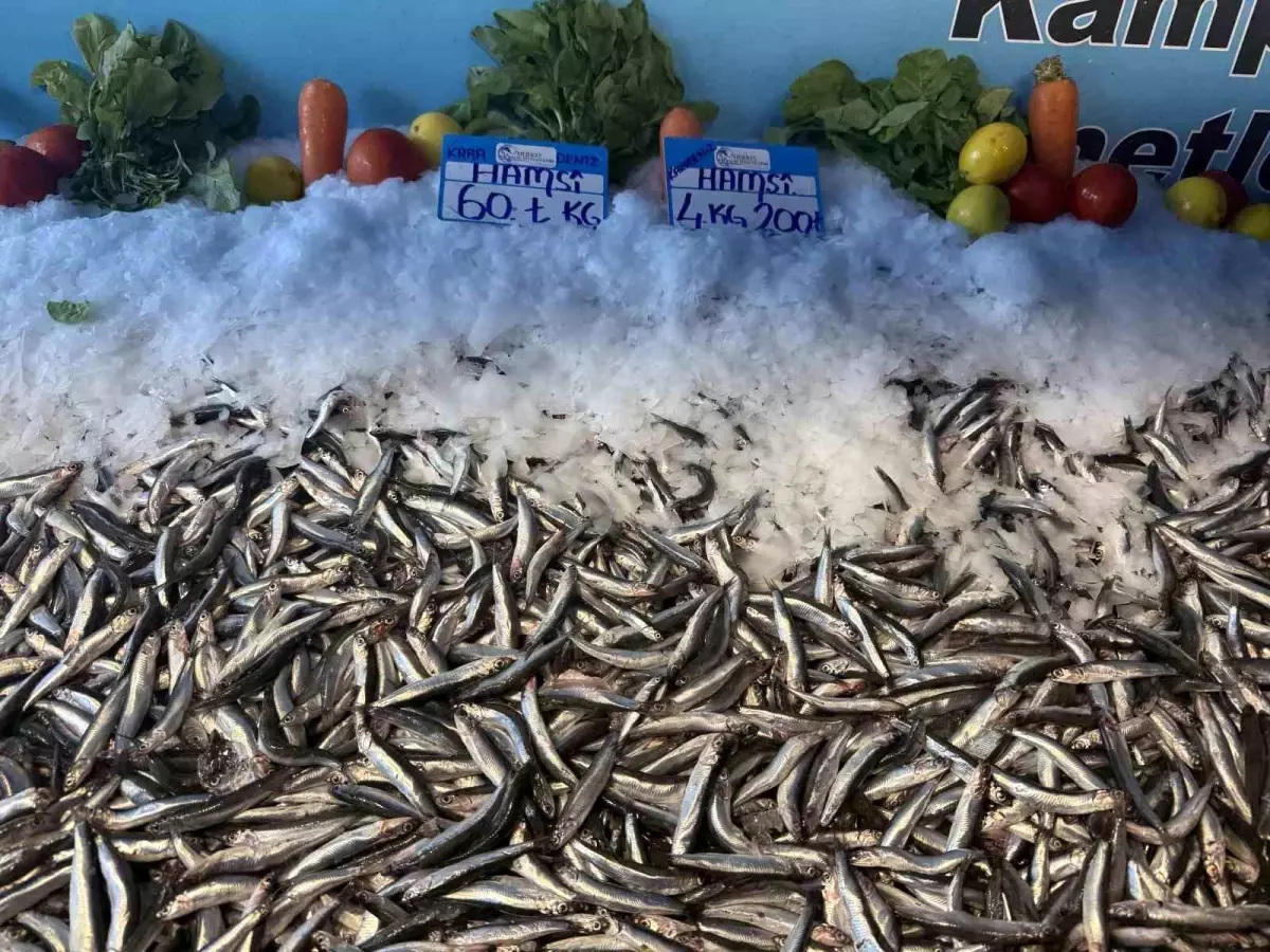hamsi fiyatlarinda dusus devam ediyor 7HOyr7qi.jpg